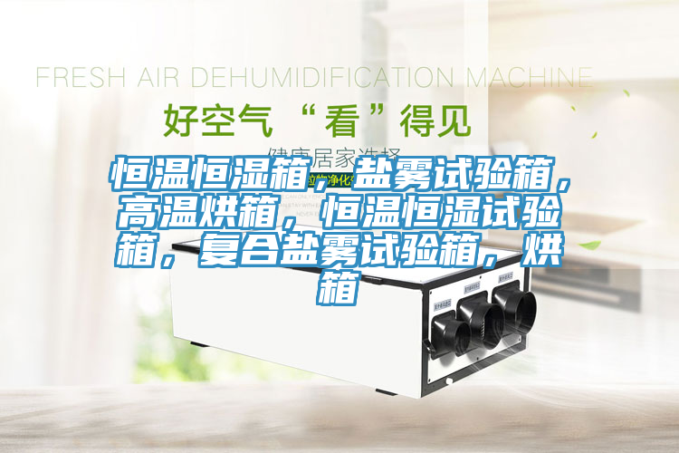 恒溫恒濕箱，鹽霧試驗箱，高溫烘箱，恒溫恒濕試驗箱，復合鹽霧試驗箱，烘箱