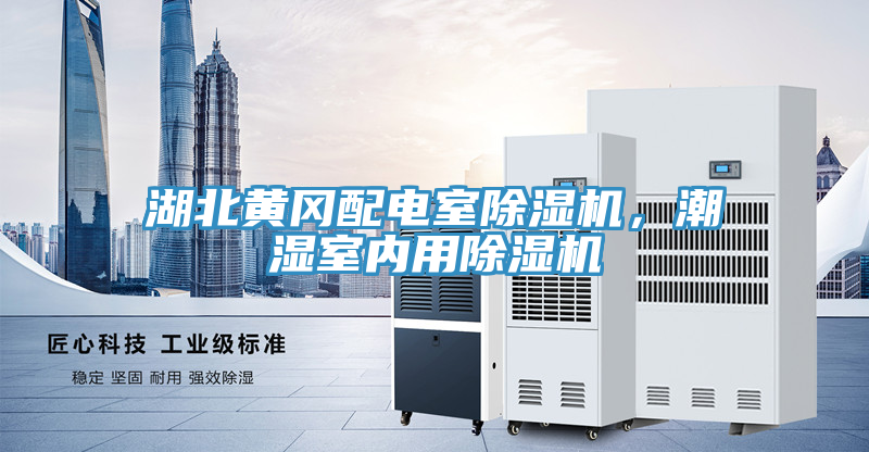 湖北黃岡配電室除濕機，潮濕室內用除濕機