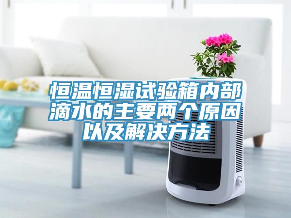 恒溫恒濕試驗箱內部滴水的主要兩個原因以及解決方法