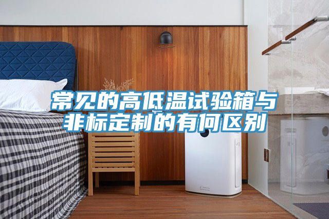 常見的高低溫試驗箱與非標定制的有何區(qū)別
