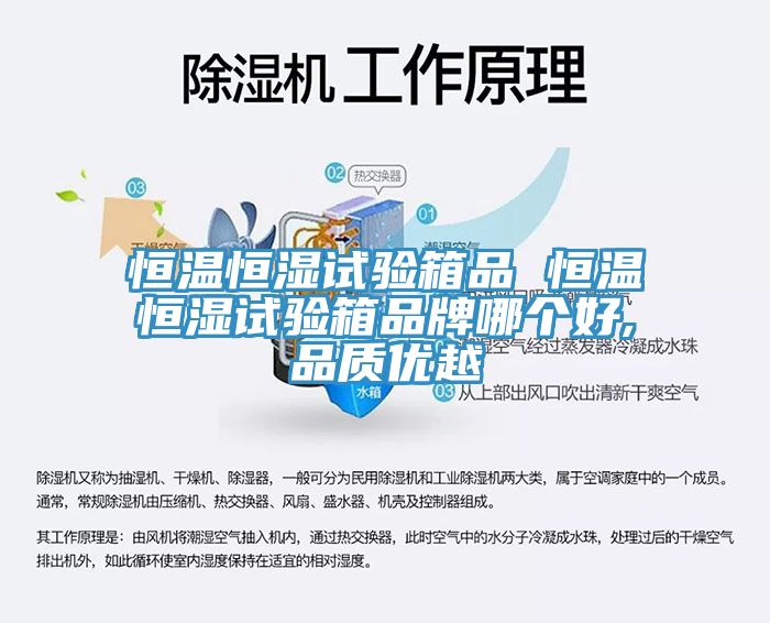 恒溫恒濕試驗箱品 恒溫恒濕試驗箱品牌哪個好,品質優越