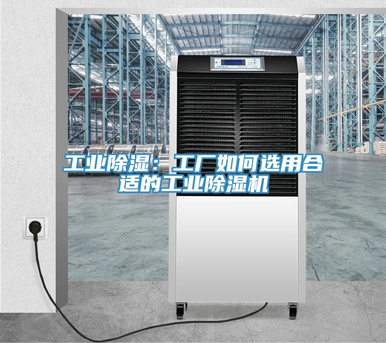 工業除濕：工廠如何選用合適的工業除濕機
