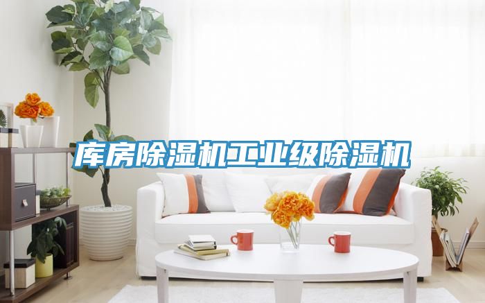 庫房除濕機工業級除濕機