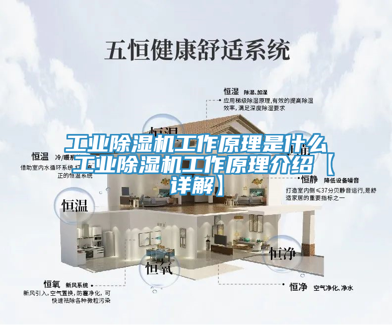 工業(yè)除濕機工作原理是什么 工業(yè)除濕機工作原理介紹【詳解】