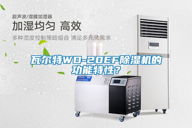 瓦爾特WD-20EF除濕機的功能特性？