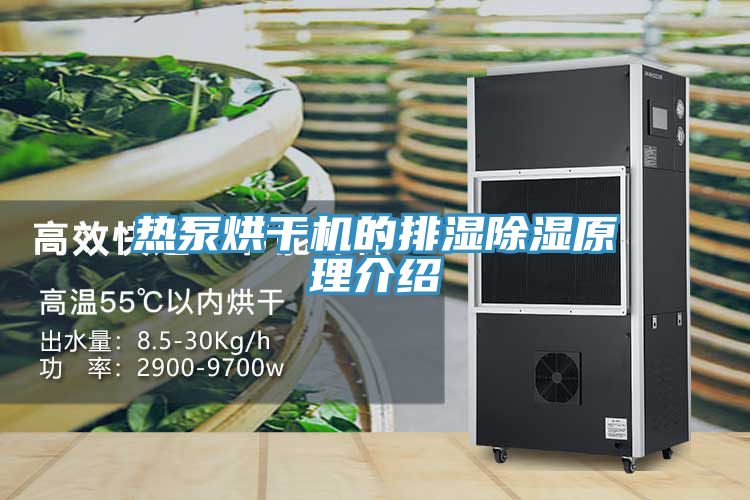 熱泵烘干機的排濕除濕原理介紹