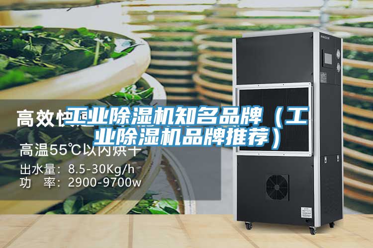 工業除濕機知名品牌（工業除濕機品牌推薦）