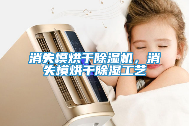 消失模烘干除濕機，消失模烘干除濕工藝