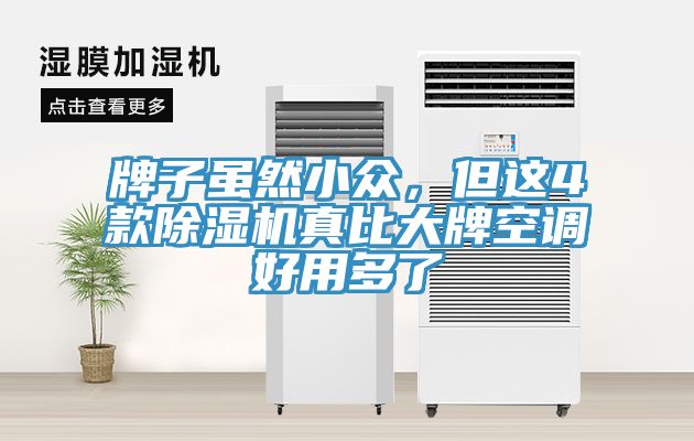牌子雖然小眾，但這4款除濕機真比大牌空調好用多了