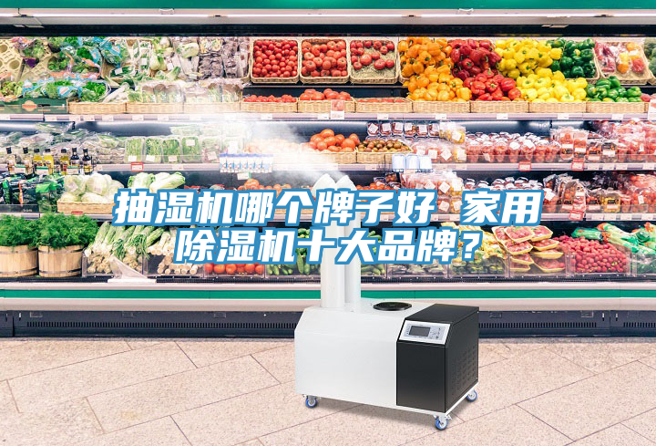抽濕機(jī)哪個(gè)牌子好 家用除濕機(jī)十大品牌？