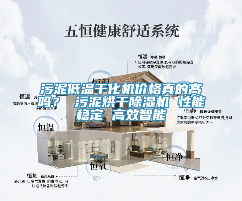 污泥低溫干化機價格真的高嗎？ 污泥烘干除濕機 性能穩(wěn)定 高效智能