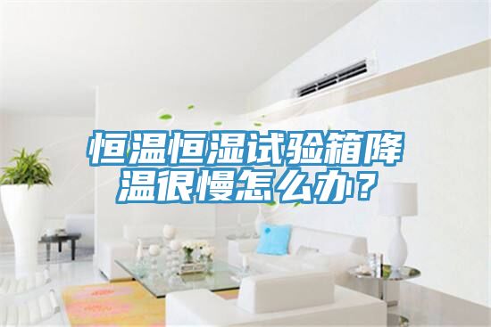 恒溫恒濕試驗(yàn)箱降溫很慢怎么辦？
