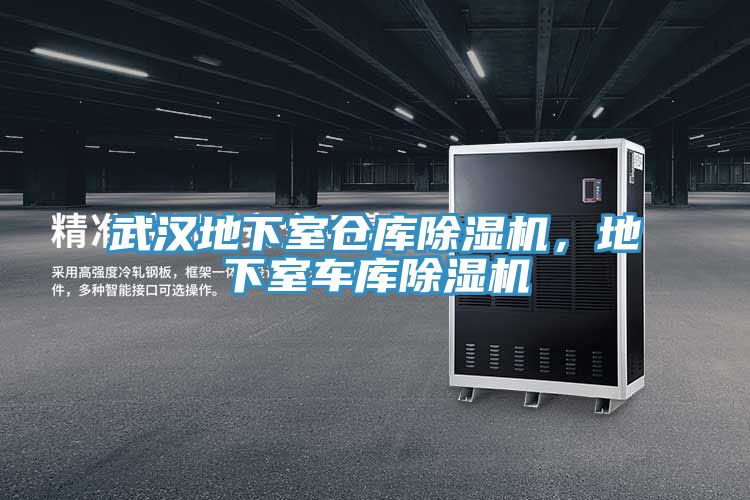 武漢地下室倉(cāng)庫(kù)除濕機(jī)，地下室車(chē)庫(kù)除濕機(jī)