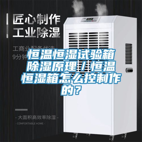 恒溫恒濕試驗(yàn)箱除濕原理／恒溫恒濕箱怎么控制作的？