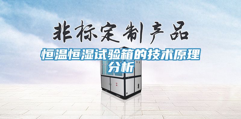 恒溫恒濕試驗箱的技術原理分析