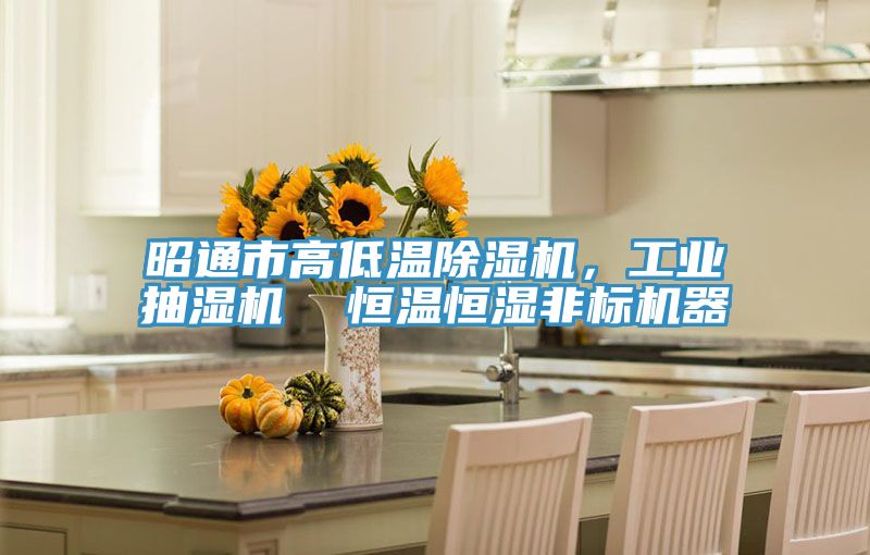 昭通市高低溫除濕機(jī)，工業(yè)抽濕機(jī)  恒溫恒濕非標(biāo)機(jī)器