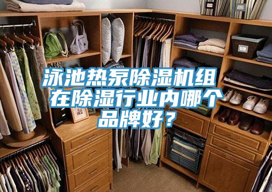 泳池熱泵除濕機組 在除濕行業內哪個品牌好？