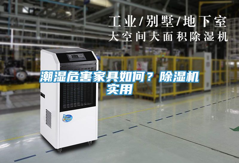 潮濕危害家具如何？除濕機實用