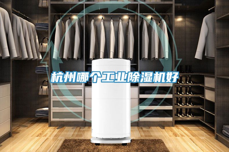 杭州哪個工業除濕機好