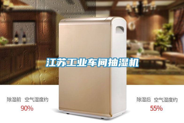 江蘇工業車間抽濕機