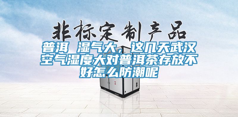 普洱 濕氣大，這幾天武漢空氣濕度大對(duì)普洱茶存放不好怎么防潮呢