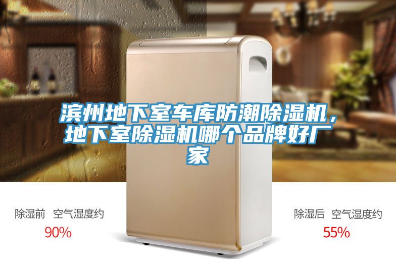 濱州地下室車(chē)庫(kù)防潮除濕機(jī)，地下室除濕機(jī)哪個(gè)品牌好廠家