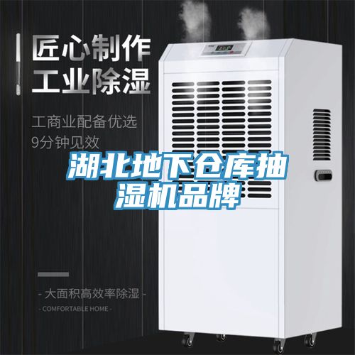 湖北地下倉庫抽濕機品牌