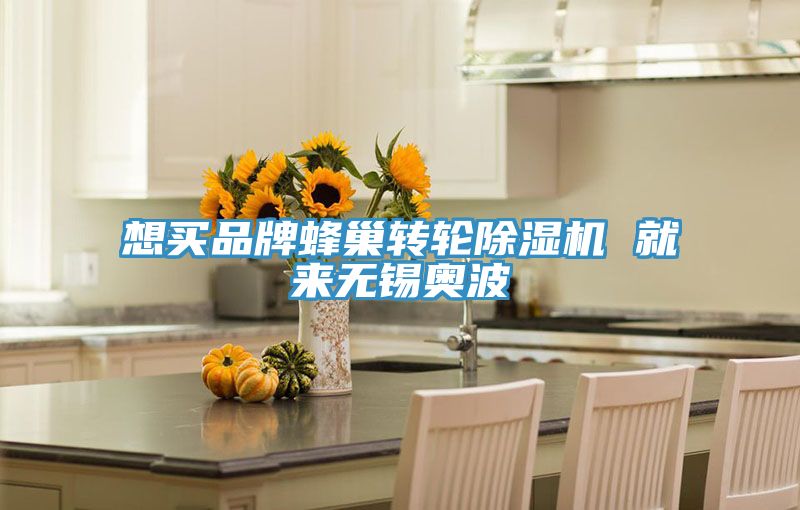 想買(mǎi)品牌蜂巢轉(zhuǎn)輪除濕機(jī) 就來(lái)無(wú)錫奧波