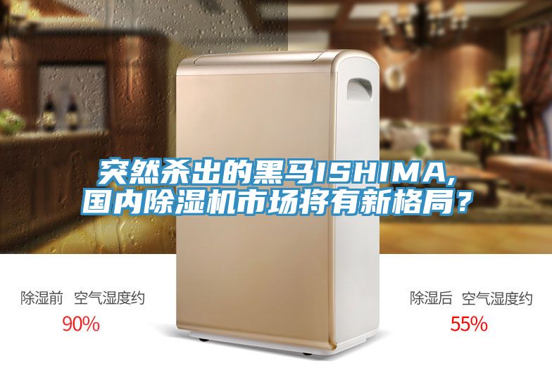 突然殺出的黑馬ISHIMA,國內除濕機市場將有新格局？