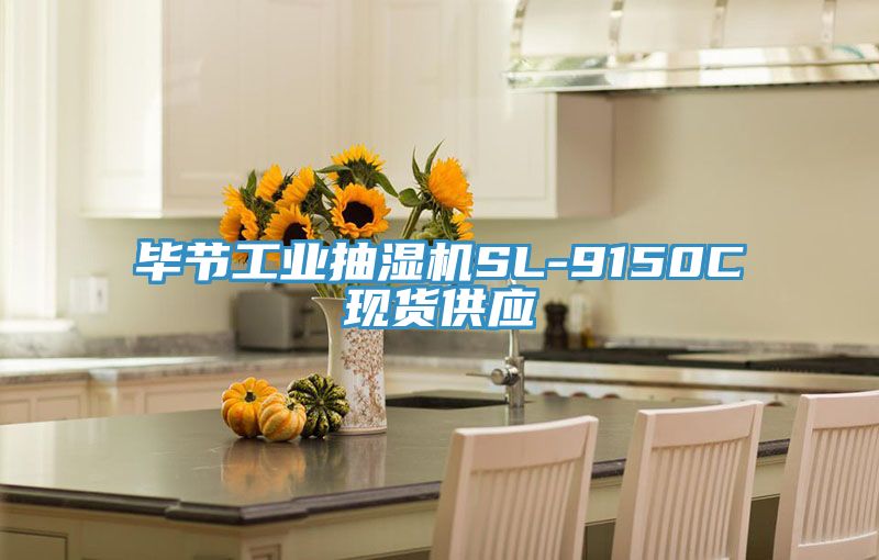 畢節工業抽濕機SL-9150C現貨供應