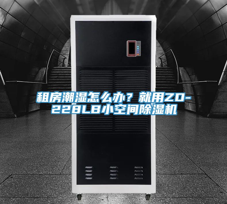 租房潮濕怎么辦？就用ZD-228LB小空間除濕機