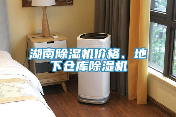 湖南除濕機(jī)價(jià)格、地下倉庫除濕機(jī)