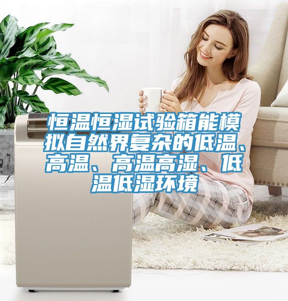 恒溫恒濕試驗(yàn)箱能模擬自然界復(fù)雜的低溫、高溫、高溫高濕、低溫低濕環(huán)境