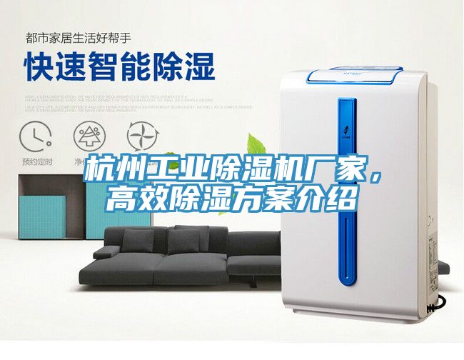 杭州工業(yè)除濕機(jī)廠家，高效除濕方案介紹