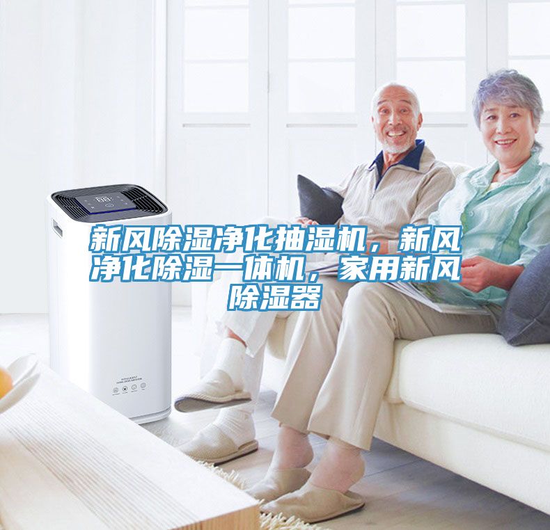 新風除濕凈化抽濕機，新風凈化除濕一體機，家用新風除濕器