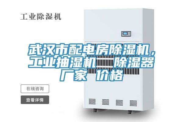 武漢市配電房除濕機(jī)，工業(yè)抽濕機(jī)  除濕器廠家 價(jià)格