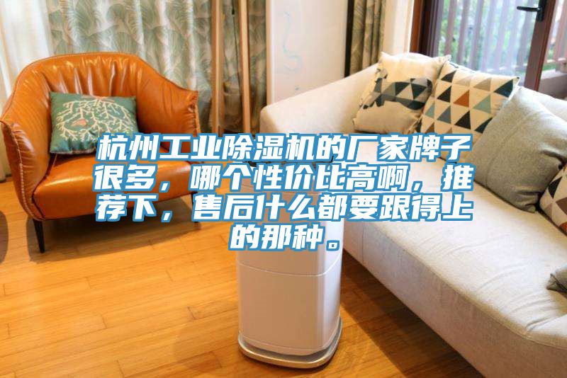 杭州工業(yè)除濕機(jī)的廠家牌子很多，哪個(gè)性價(jià)比高啊，推薦下，售后什么都要跟得上的那種。