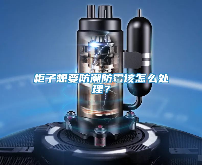 柜子想要防潮防霉該怎么處理？