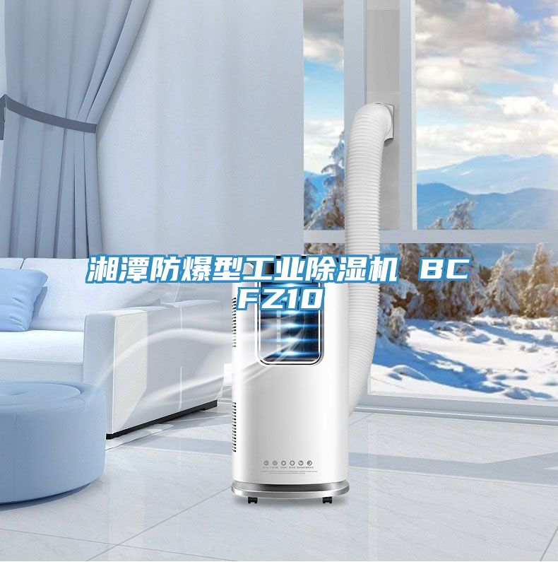 湘潭防爆型工業(yè)除濕機(jī) BCFZ10