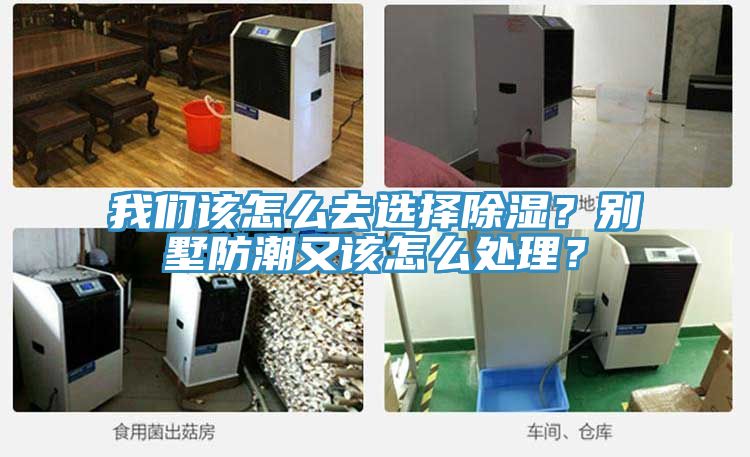 我們?cè)撛趺慈ミx擇除濕？別墅防潮又該怎么處理？