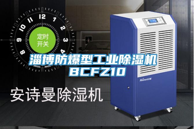 淄博防爆型工業(yè)除濕機(jī) BCFZ10
