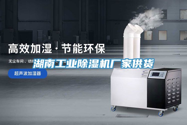 湖南工業(yè)除濕機廠家供貨