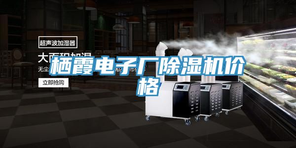 棲霞電子廠除濕機(jī)價(jià)格