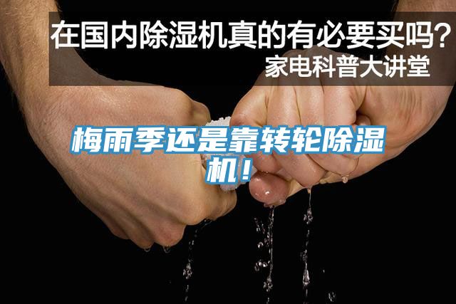 梅雨季還是靠轉(zhuǎn)輪除濕機(jī)！