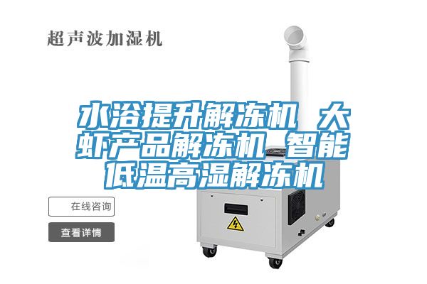 水浴提升解凍機 大蝦產(chǎn)品解凍機 智能低溫高濕解凍機