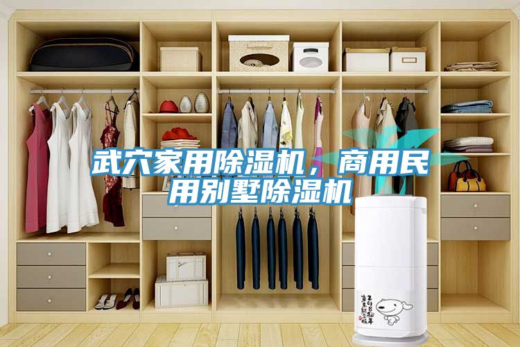 武穴家用除濕機，商用民用別墅除濕機