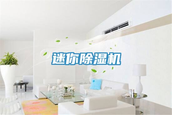 迷你除濕機