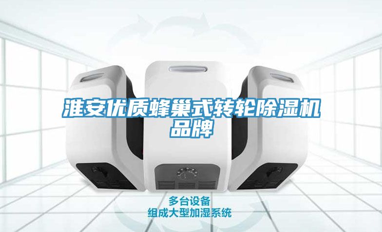 淮安優(yōu)質(zhì)蜂巢式轉(zhuǎn)輪除濕機品牌