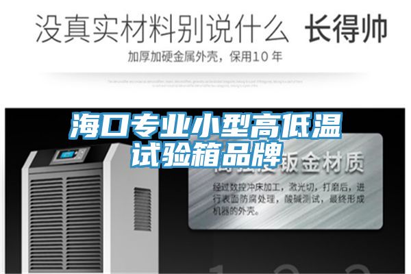 海口專(zhuān)業(yè)小型高低溫試驗(yàn)箱品牌