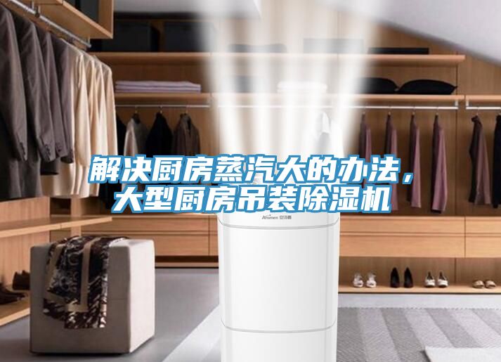 解決廚房蒸汽大的辦法，大型廚房吊裝除濕機